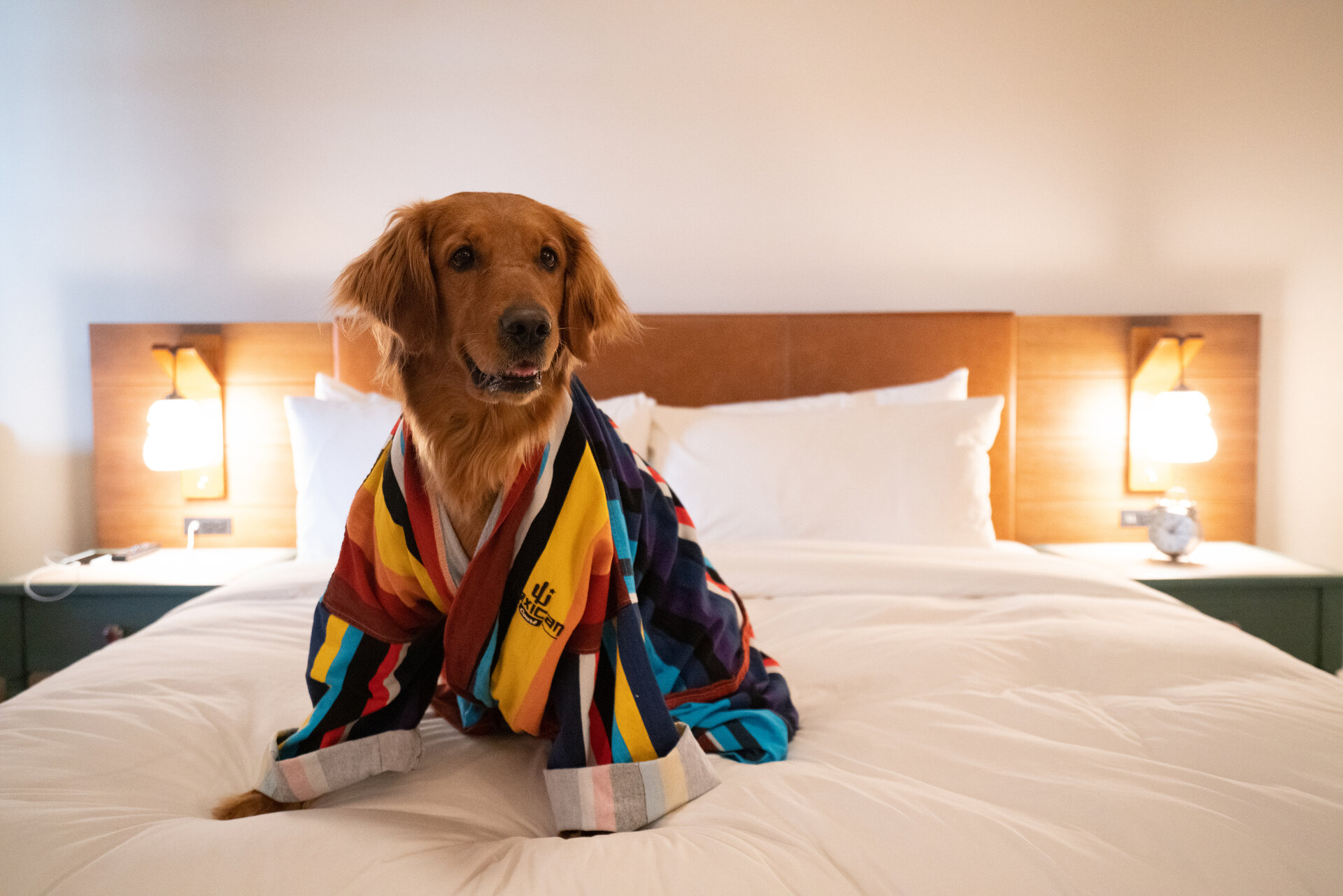 Pet Friendly Hotel in Irving, TX Texican Court