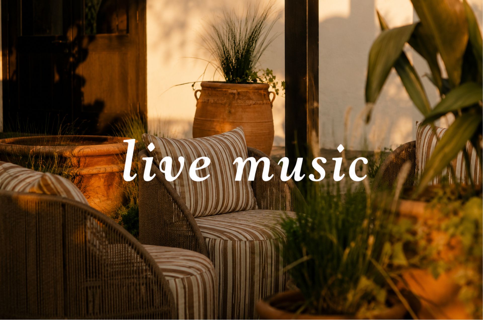 Carissa Carter - Live Music at the Two Mules Cantina