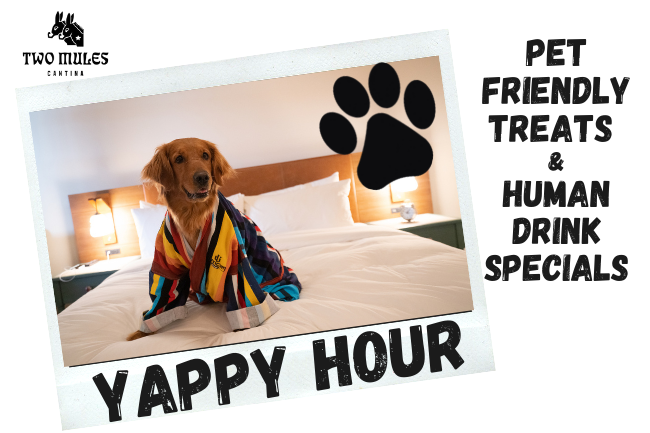 Yappy Hour at Texican Court