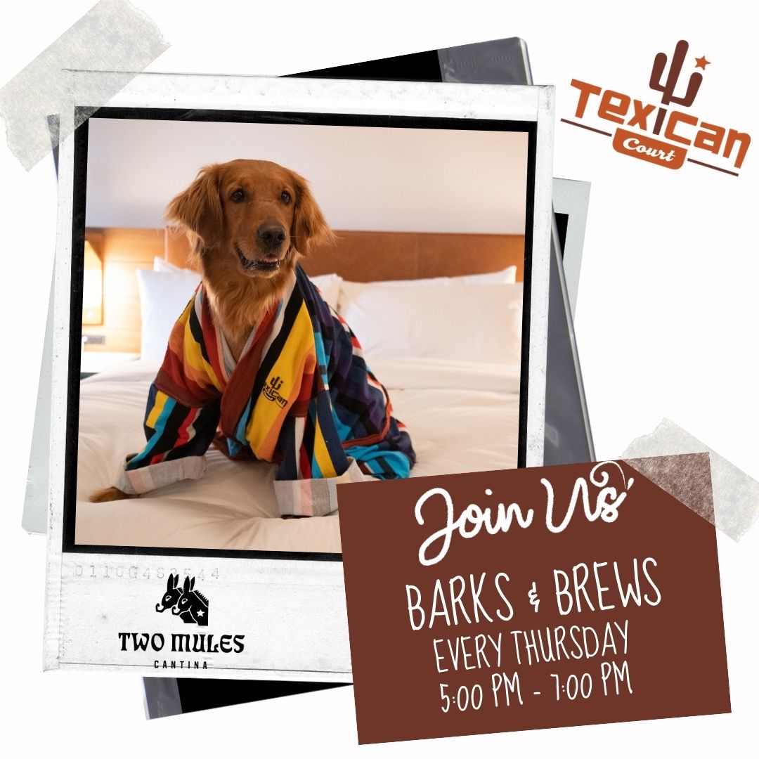 Barks & Brews Pet Event