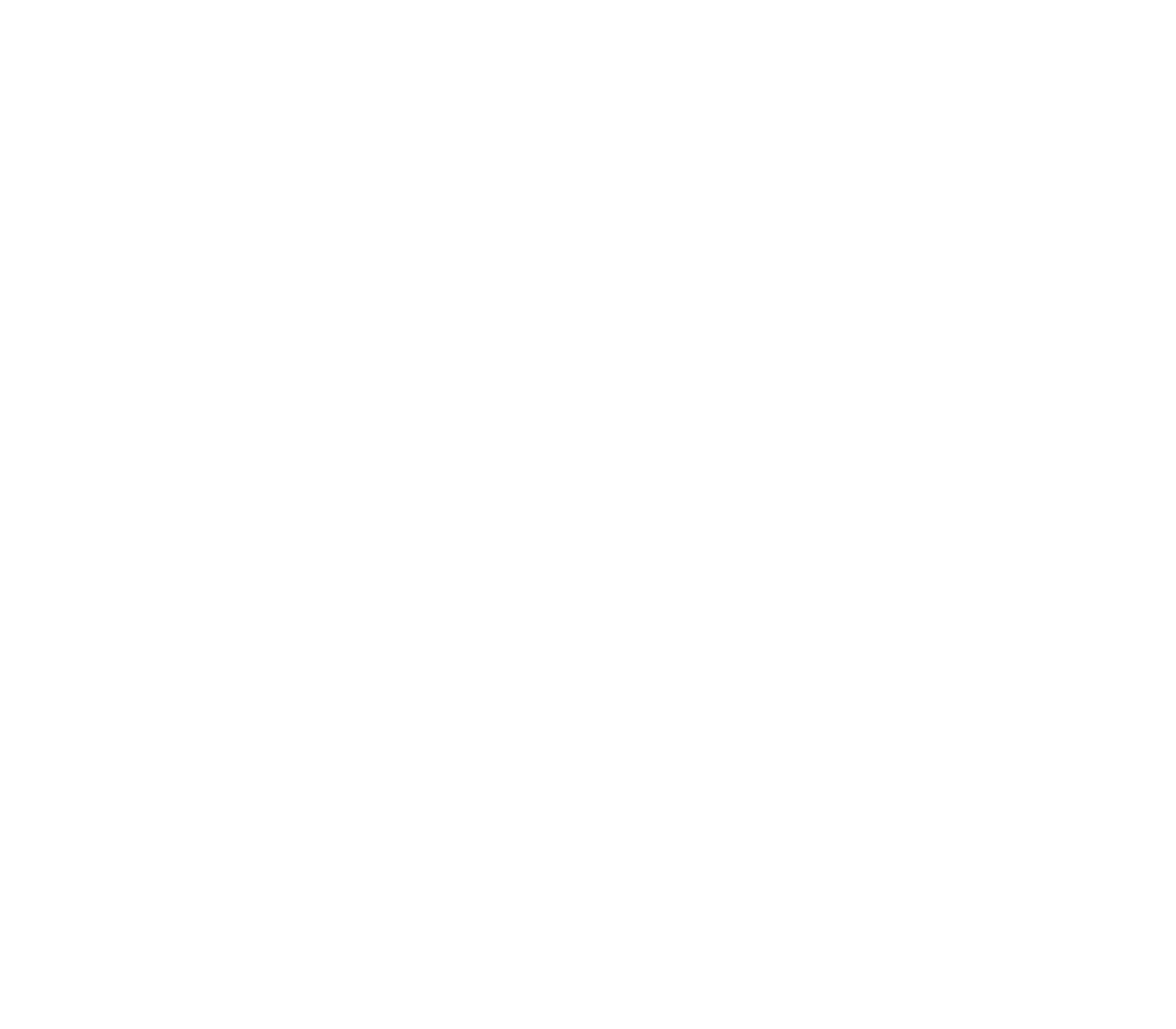 Texican Court Logo
